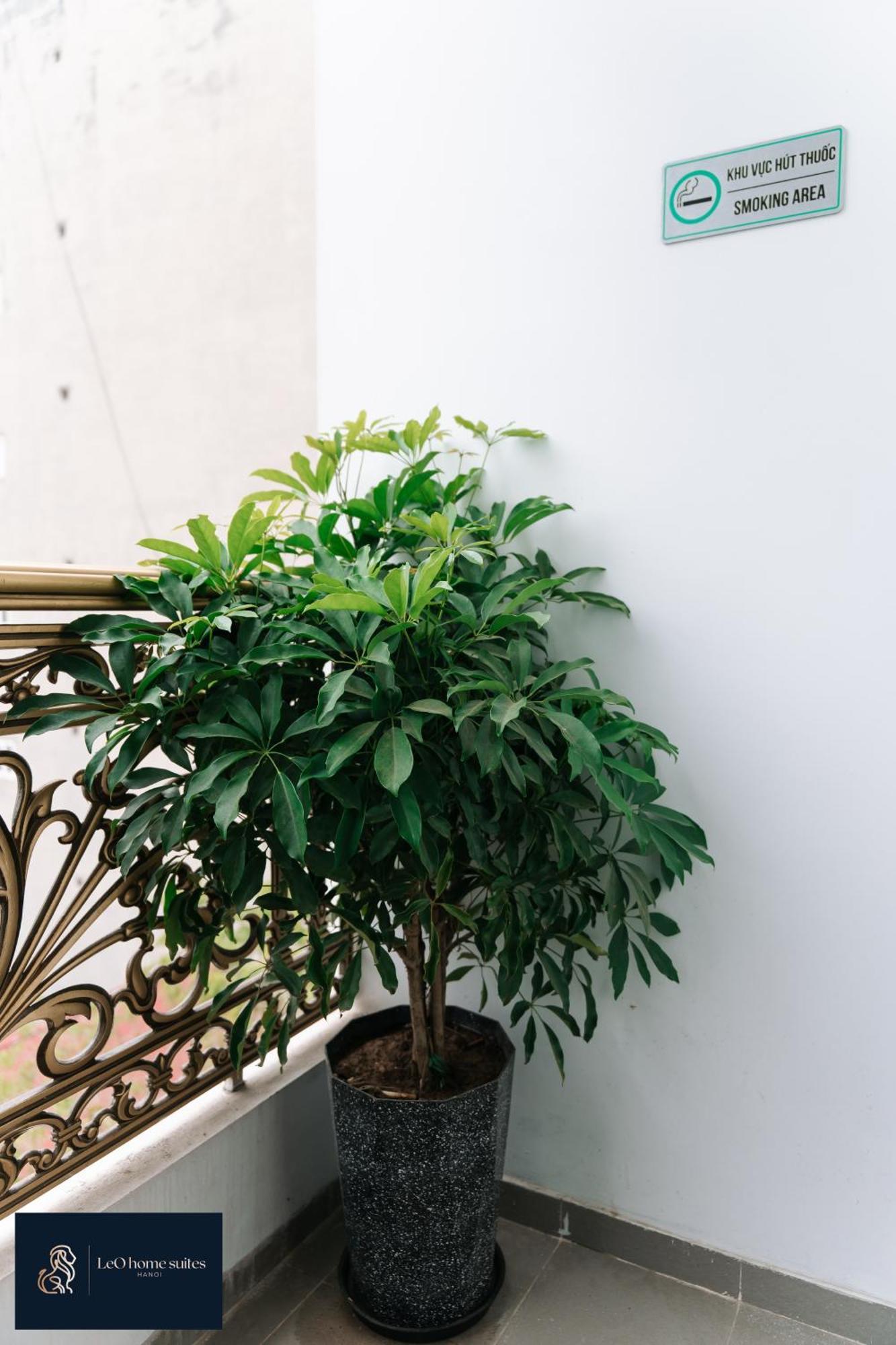 Home Suites -Natural Light -Projector -Spacious - 2Br Incenter Hanoi Exterior foto